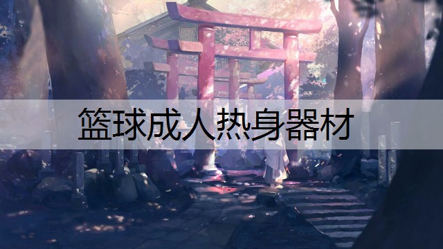 篮球成人热身器材