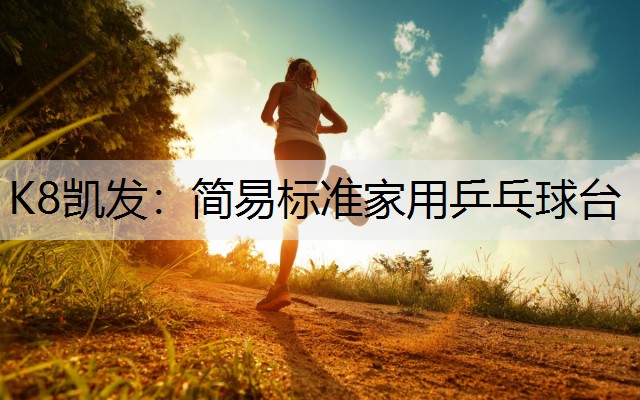 K8凯发：简易标准家用乒乓球台