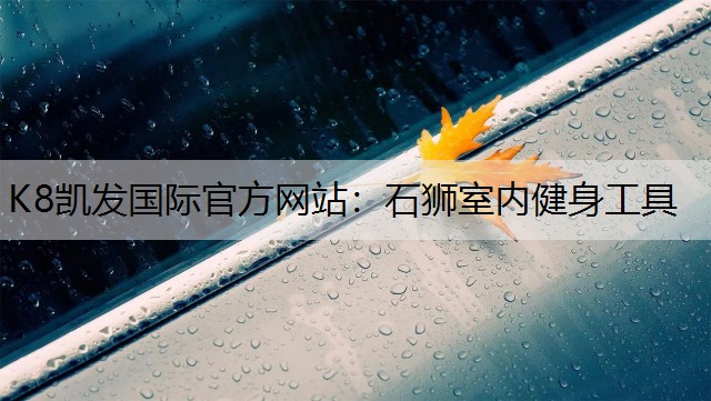 K8凯发国际官方网站：石狮室内健身工具