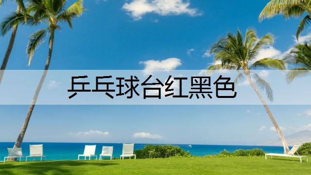 乒乓球台红黑色