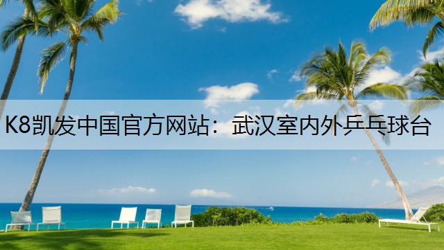 K8凯发中国官方网站：武汉室内外乒乓球台