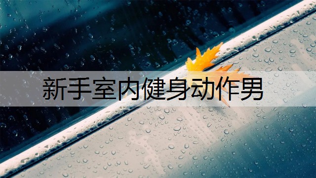 新手室内健身动作男