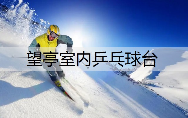 望亭室内乒乓球台