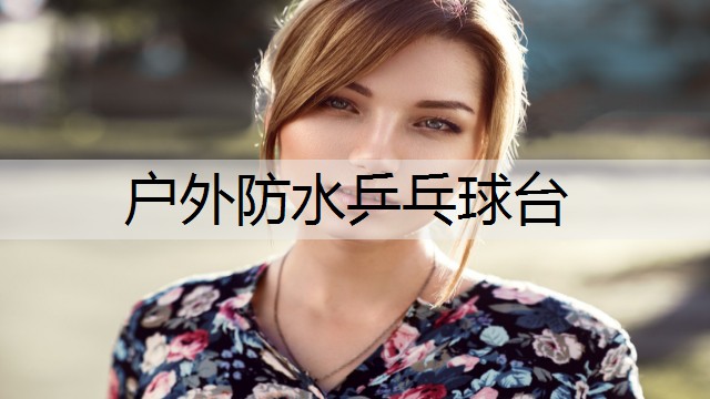 户外防水乒乓球台