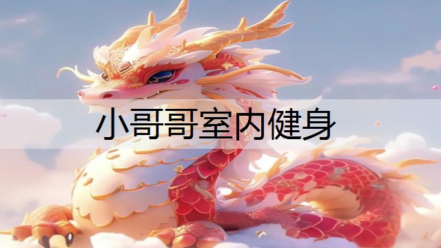 小哥哥室内健身