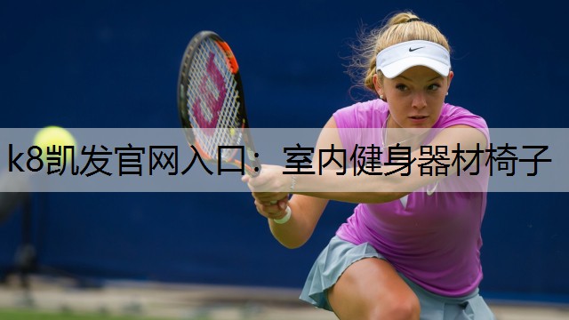 k8凯发官网入口：室内健身器材椅子