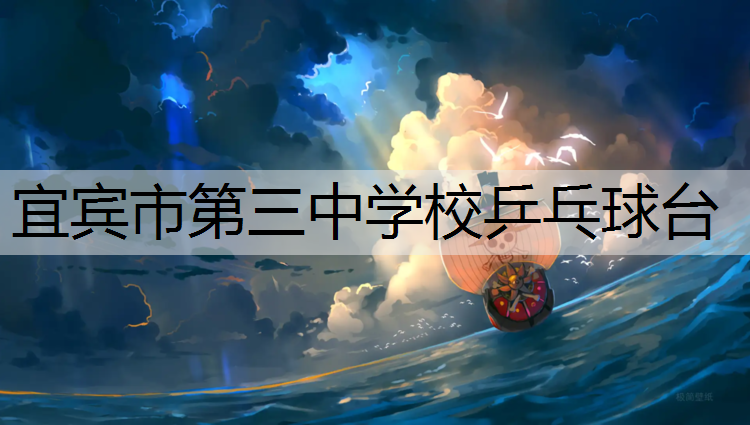 宜宾市第三中学校乒乓球台