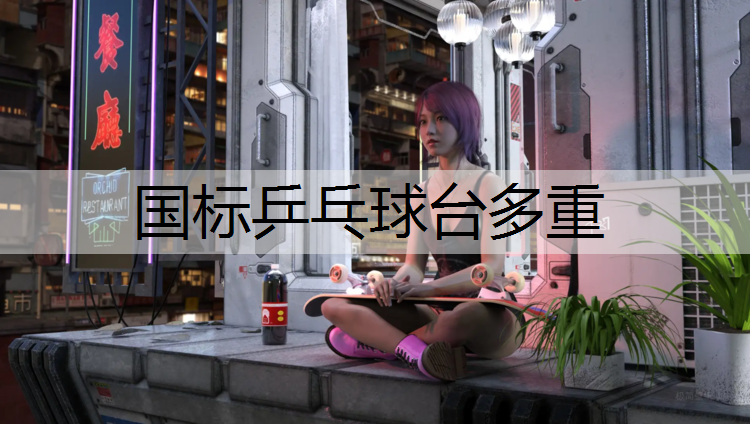 国标乒乓球台多重