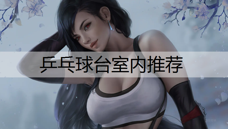 乒乓球台室内推荐