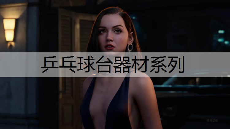 乒乓球台器材系列