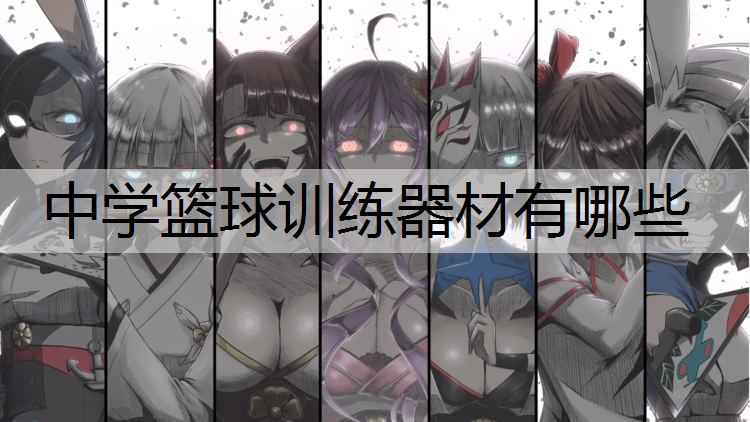 中学篮球训练器材有哪些