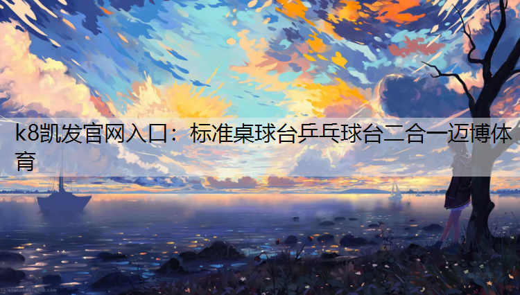 k8凯发官网入口：标准桌球台乒乓球台二合一迈博体育