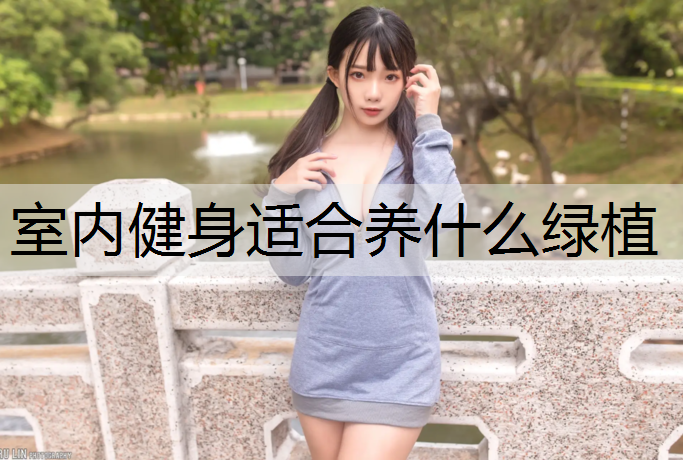 室内健身适合养什么绿植