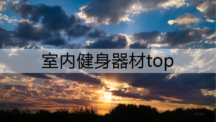 室内健身器材top