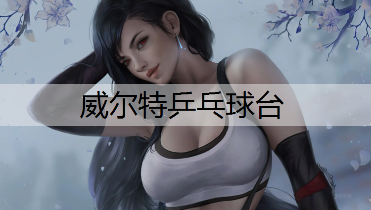 威尔特乒乓球台