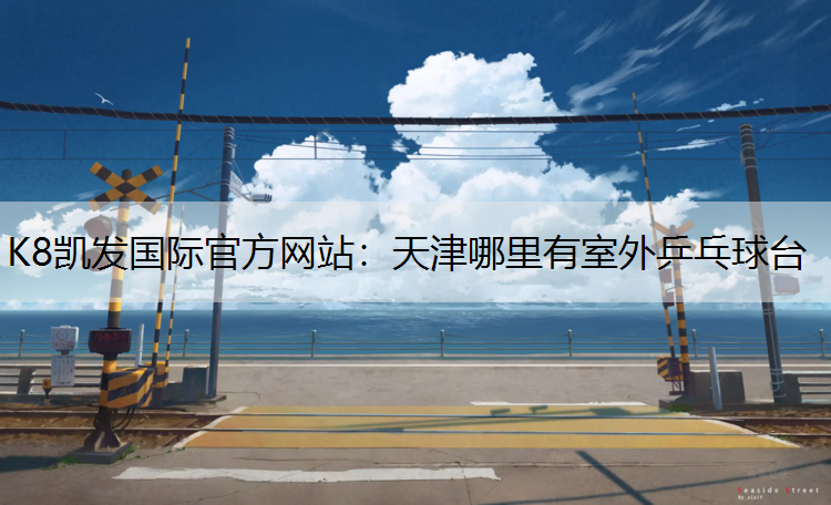 K8凯发国际官方网站：天津哪里有室外乒乓球台