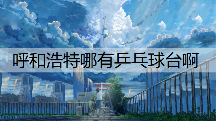 呼和浩特哪有乒乓球台啊
