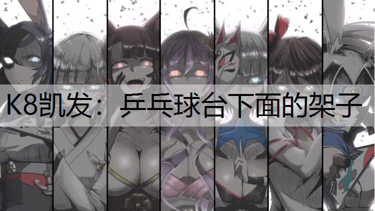K8凯发：乒乓球台下面的架子