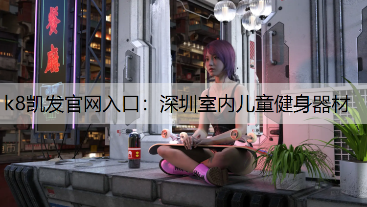 k8凯发官网入口：深圳室内儿童健身器材