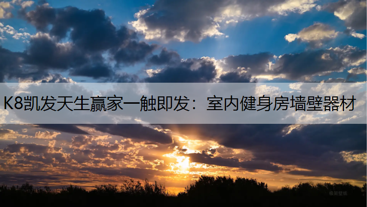 K8凯发天生赢家一触即发：室内健身房墙壁器材