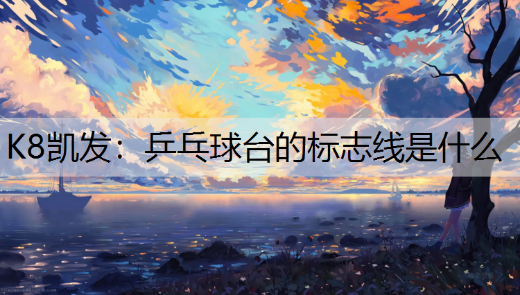 K8凯发：乒乓球台的标志线是什么