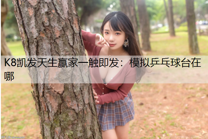 K8凯发天生赢家一触即发：模拟乒乓球台在哪