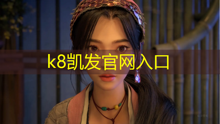 K8凯发：室内成人网球网