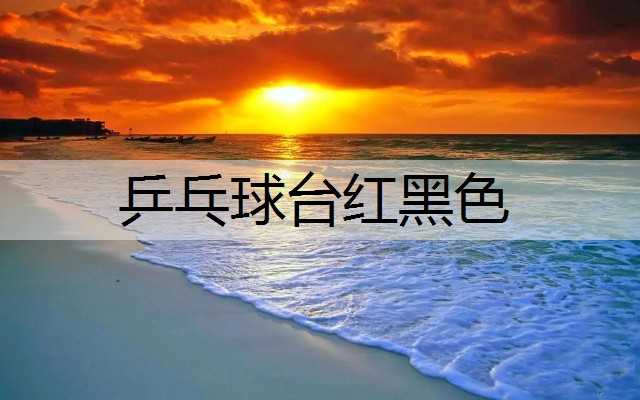乒乓球台红黑色