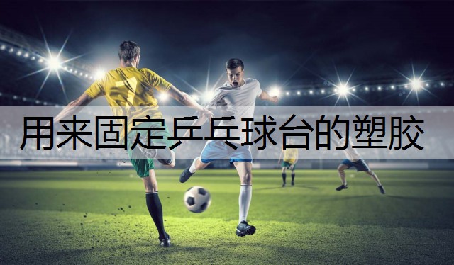 用来固定乒乓球台的塑胶 用来固定乒乓球台的塑胶