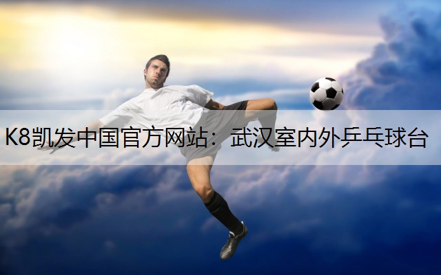 武汉室内外乒乓球台