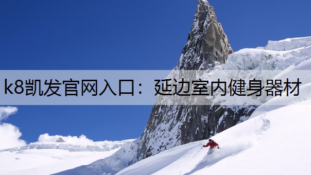 延边室内健身器材