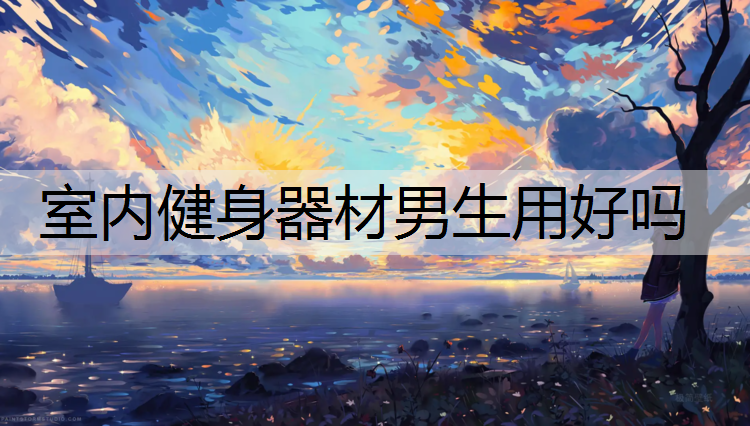 室内健身器材男生用好吗