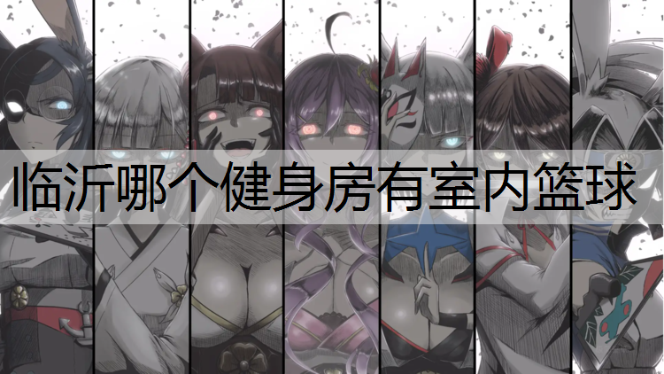 临沂哪个健身房有室内篮球