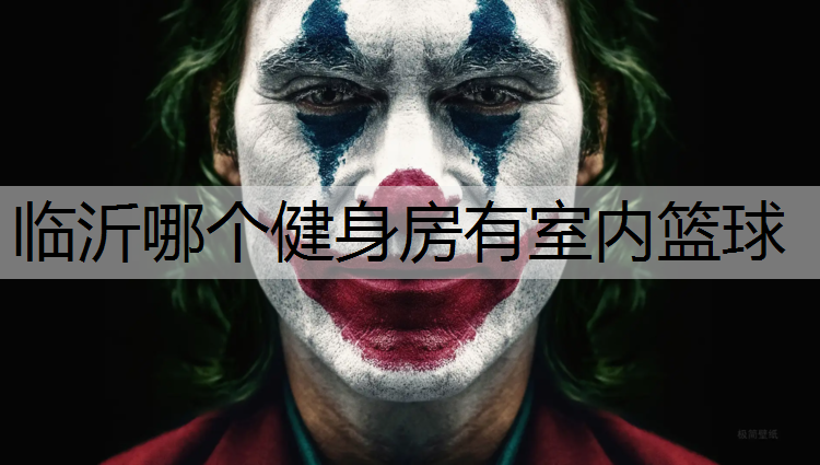 临沂哪个健身房有室内篮球
