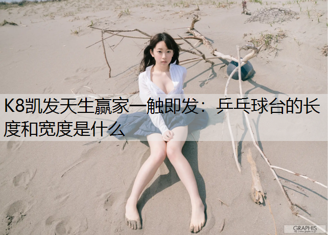 乒乓球台的长度和宽度是什么