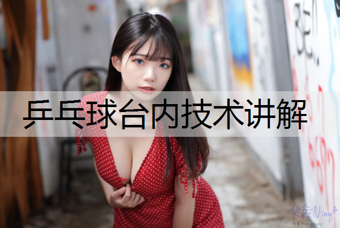 乒乓球台内技术讲解