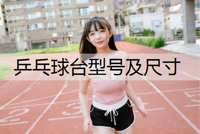 乒乓球台型号及尺寸