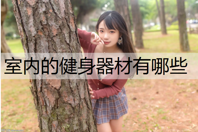 室内的健身器材有哪些