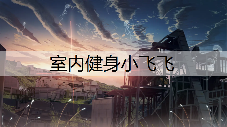 室内健身小飞飞