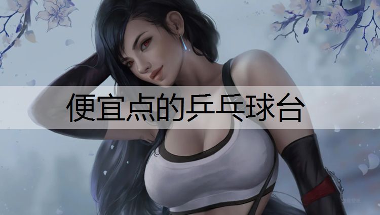便宜点的乒乓球台